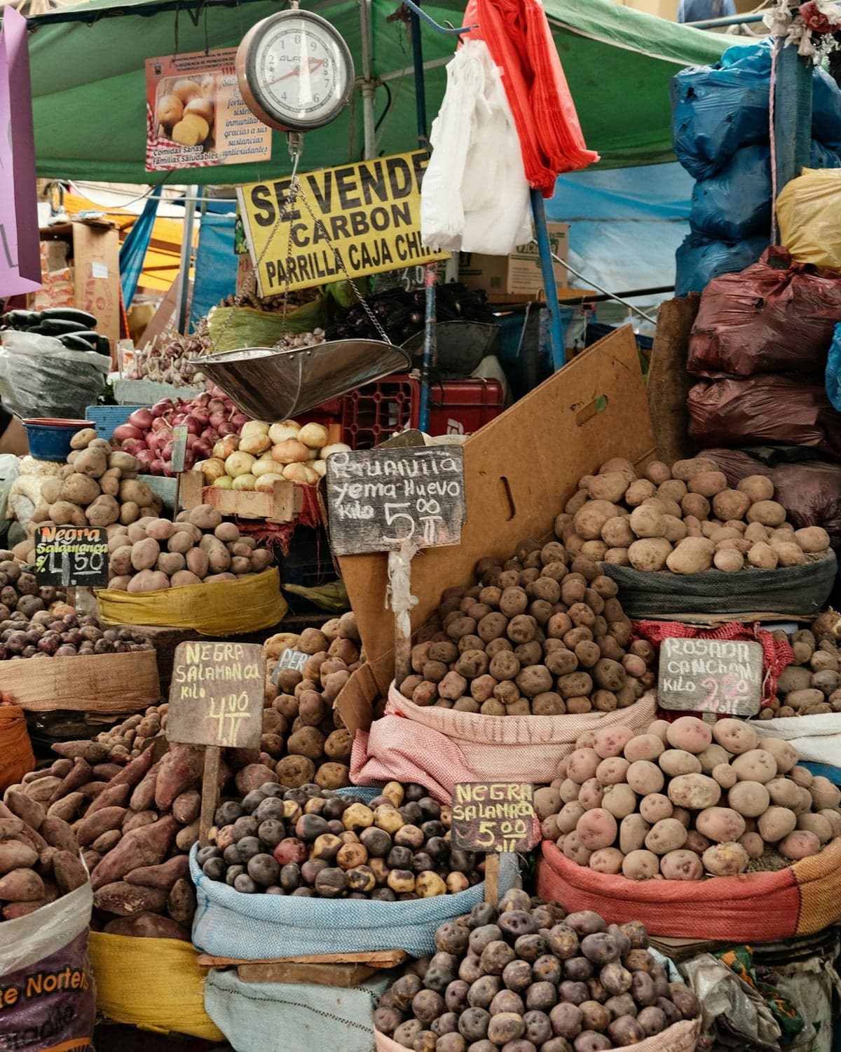 Mercado peruano con papas nativas en variedades morada, roja y amarilla